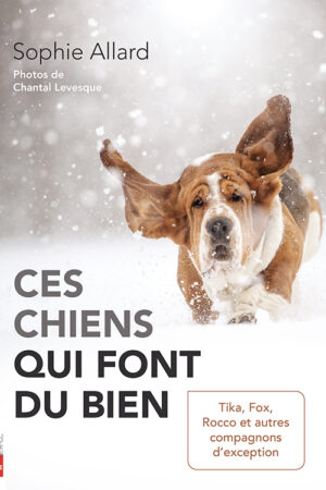 Ces chiens qui font du bien : Tika, Fox, Rocco et autres compagnons d'exception